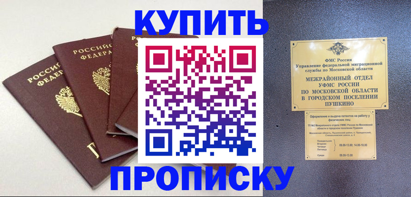 временная регистрация собственник в Мончегорске
